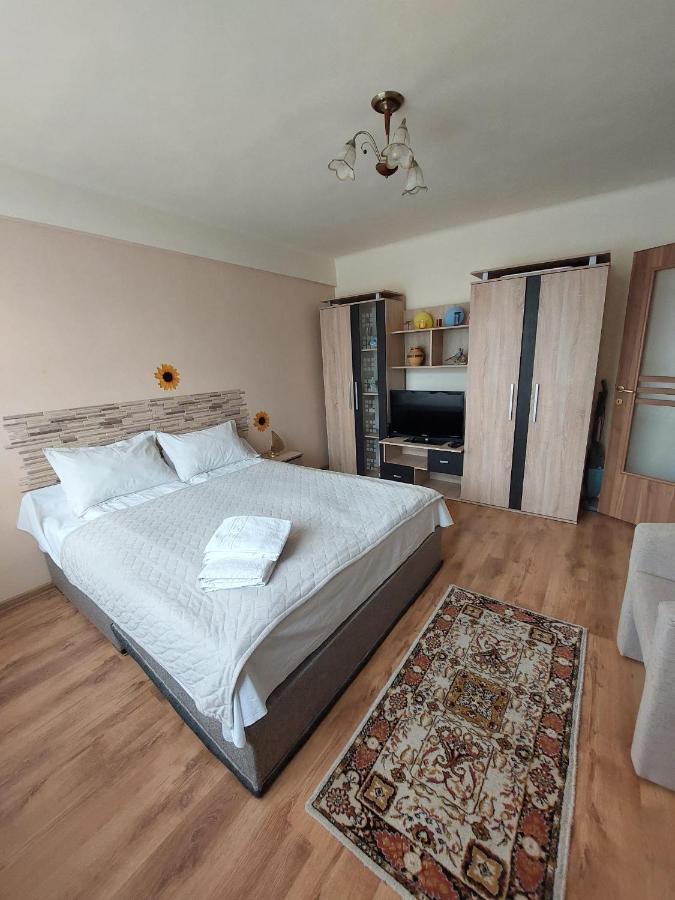 Amigohd Apartment Hunedoara Luaran gambar